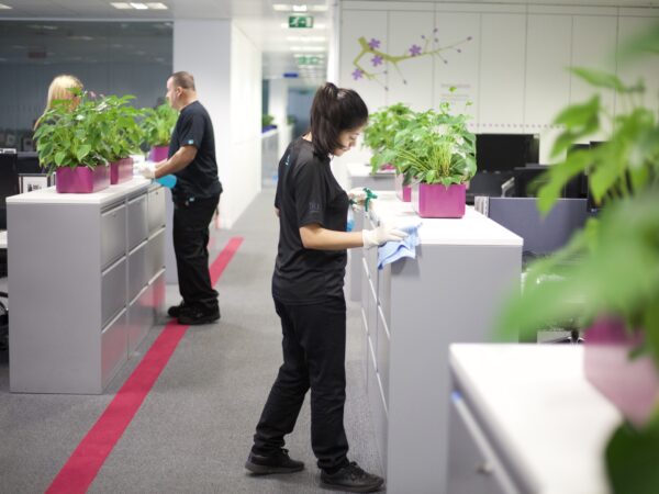 NuServe cleaners disinfecting office furniture.